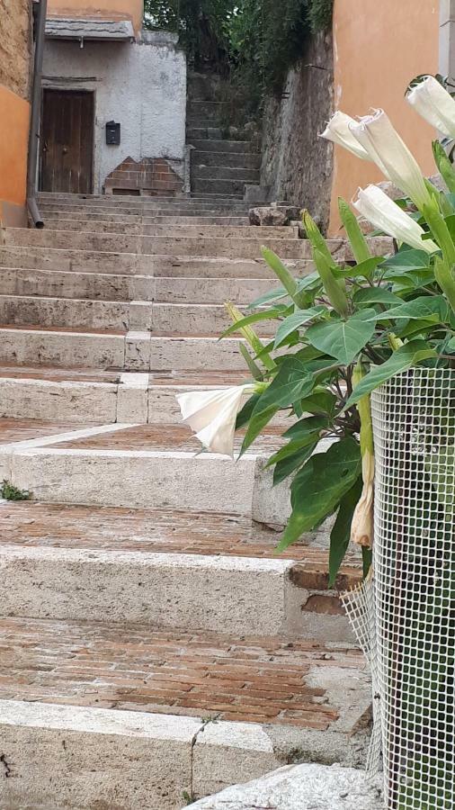 S. Mercurio Villa Campobasso Ngoại thất bức ảnh